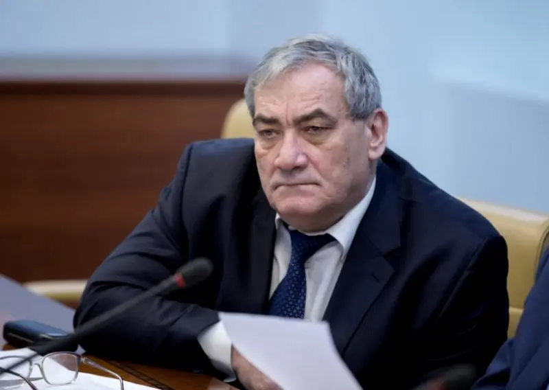 Штыров предложил подвергнуть бабушек, торгующих пирожками, нещадным проверкам