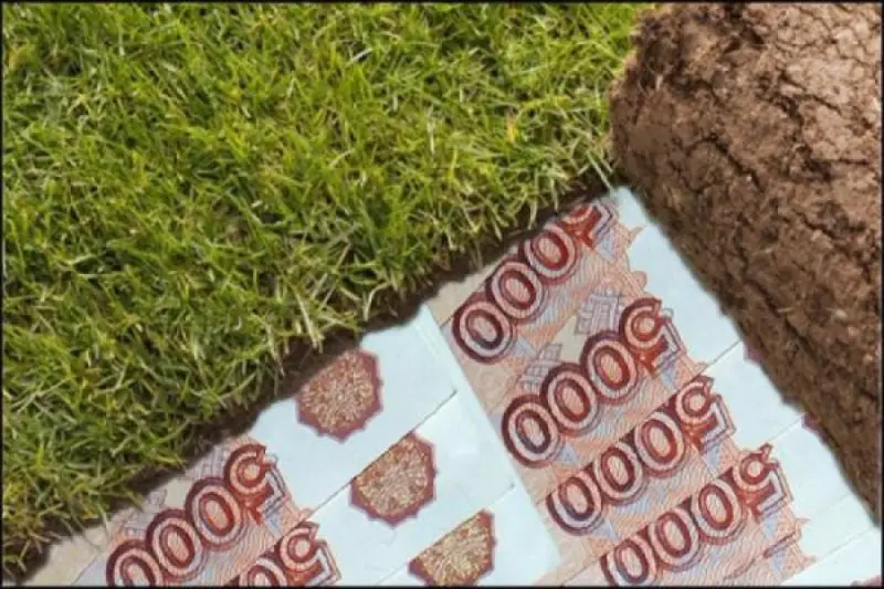 О праве многодетных на отказ от земельного участка в пользу увеличения маткапитала