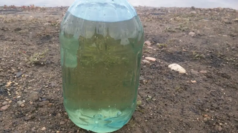 Общественники привлечены к исследованиям качества воды в реке Вилюй