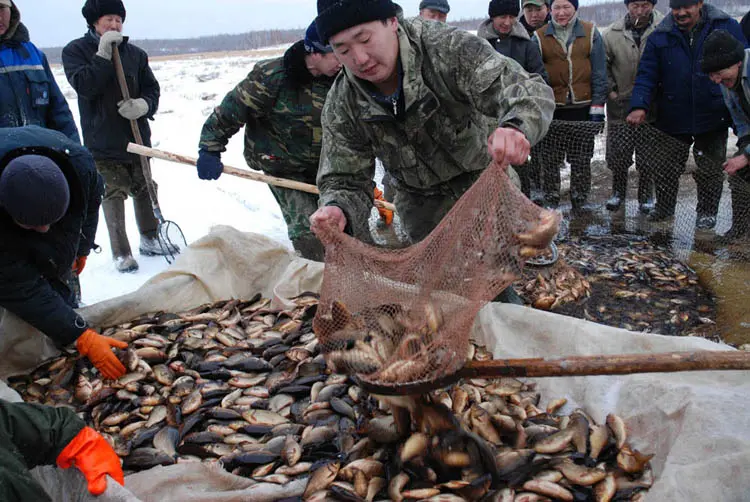 В Якутске пройдет народный праздник, посвященный карасю
