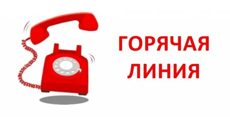 Создана «Горячая линия» по вопросам обращения с отходами