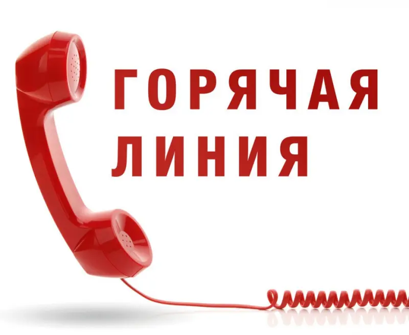 Горячая линия по применению контрольно-кассовой техники в 2019 году