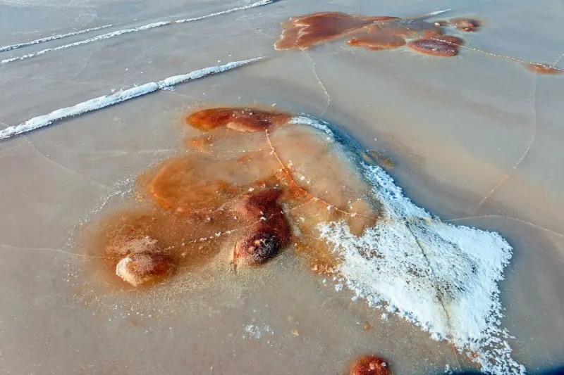 Фекальные стоки из исправительной колонии №7 загрязняют реку Лена