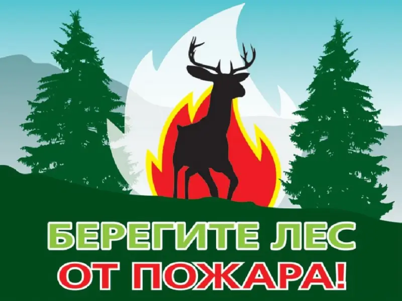 Памятка о соблюдении требований пожарной безопасности в лесах