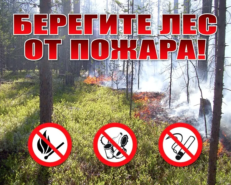 В Якутии действует один лесной пожар