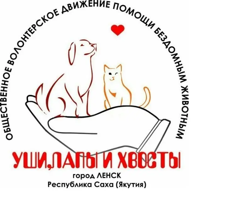С 1 июля в Ленском районе начинается реализация проекта обладателя Президентского гранта РФ
