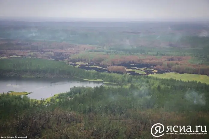 В Якутии тушат восемь лесных пожаров