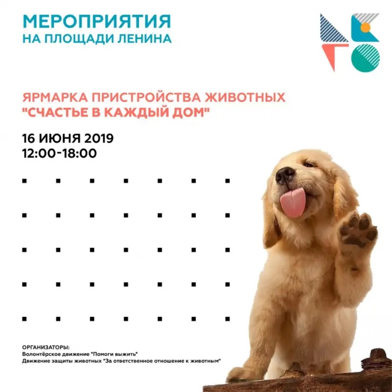 Ярмарка пристройства животных «Счастье в каждый дом»