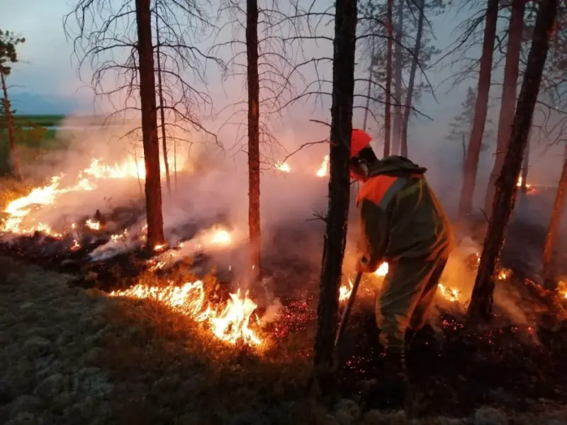 За последние сутки ликвидировано 4 пожара в зоне контроля