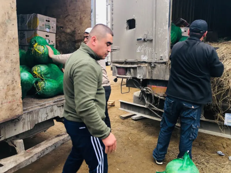 Проверки по соблюдению законодательства в сфере предпринимательства