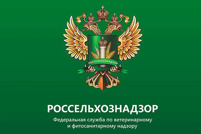 Бактерии кишечной палочки найдены в сливочном масле