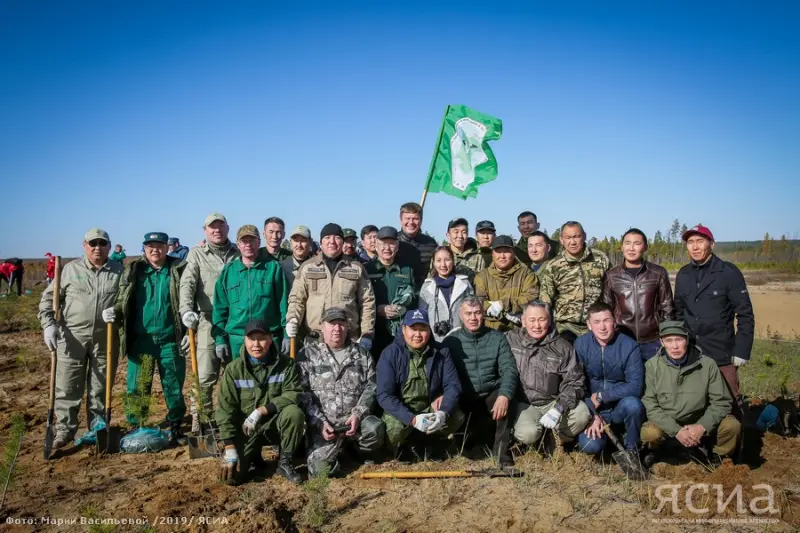 На Вилюйском тракте Якутска посадили более две тысяч саженцев сосны