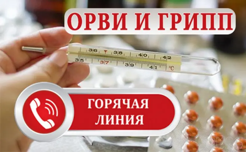 Профилактика гриппа и ОРВИ: Горячая линия Роспотребнадзора