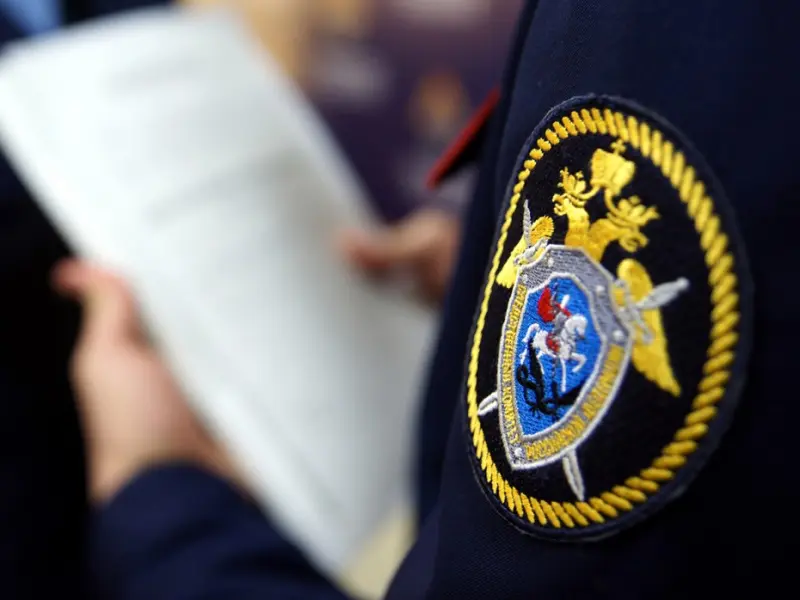 Материалы по делу об избиение мужчиной сына своей сожительницы направлены в суд