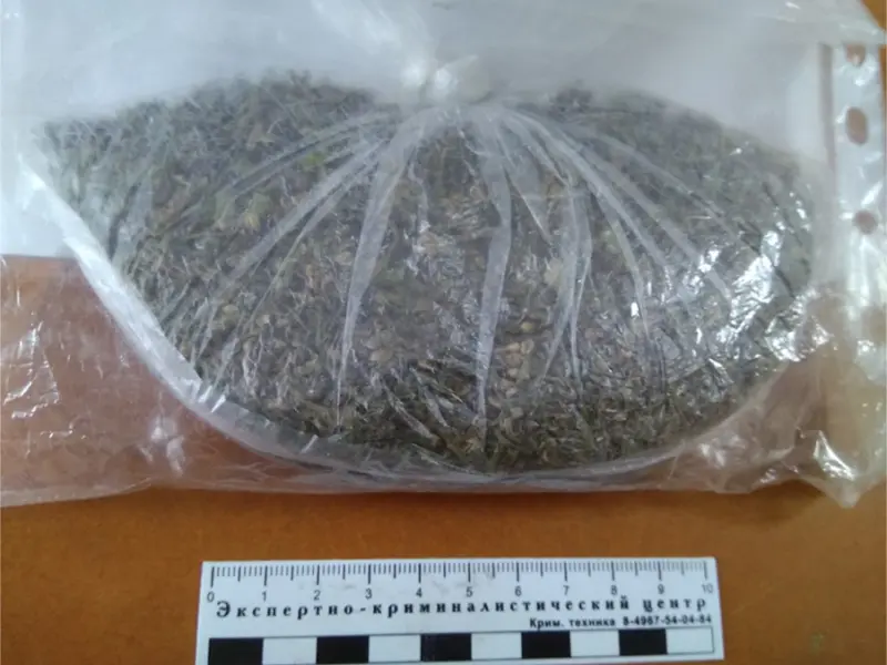 В Якутии мужчина предстанет перед судом за хранение марихуаны