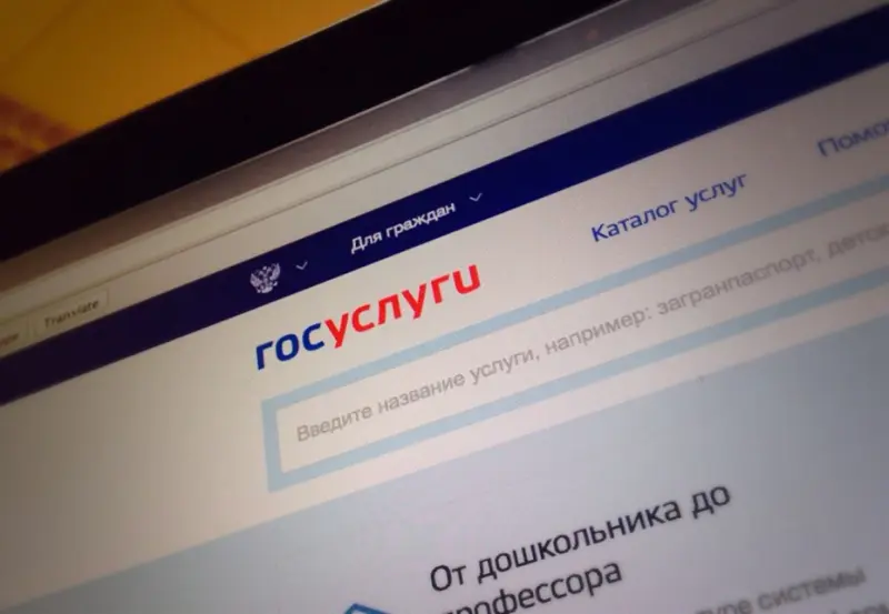Сбой в работе портала Госуслуги привел к массовой рассылке ложного уведомления об оплате госпошлины за загранпаспорт