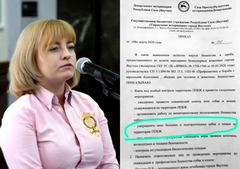 «Обращайтесь в Департамент ветеринарии»: Директор «Жилкомсервиса» опровергла, что животные были умерщвлены по ее инициативе