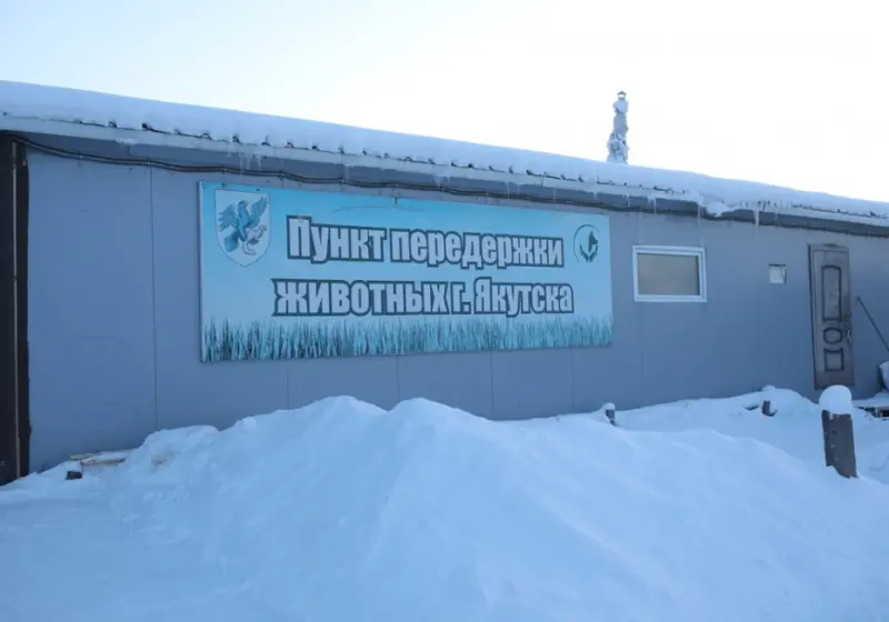 Сформирована комиссия по проведению проверки с ситуацией в пункте передержи животных