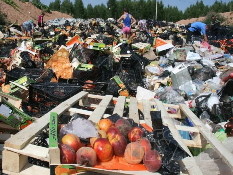 Уничтожен 51 килограмм рыбной и мясной продукции с истекшим сроком годности