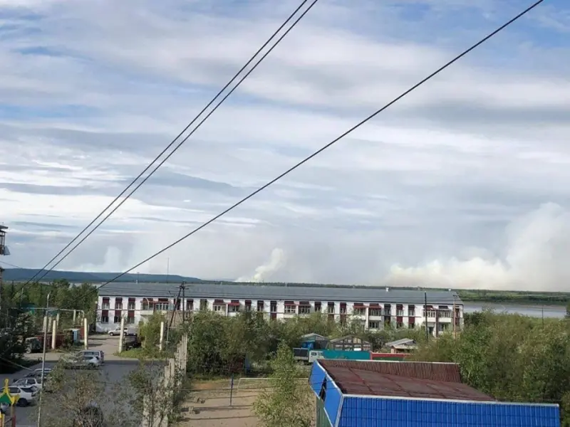 Обеспечить реагирование на лесопожарную обстановку поручено регионам