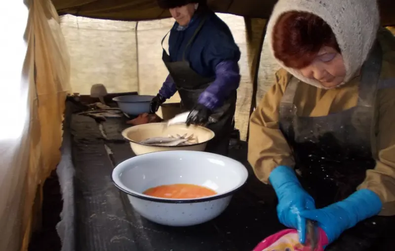 Продукция Чернышевского рыбзавода в Мирном выпускалась в антисанитарных условиях