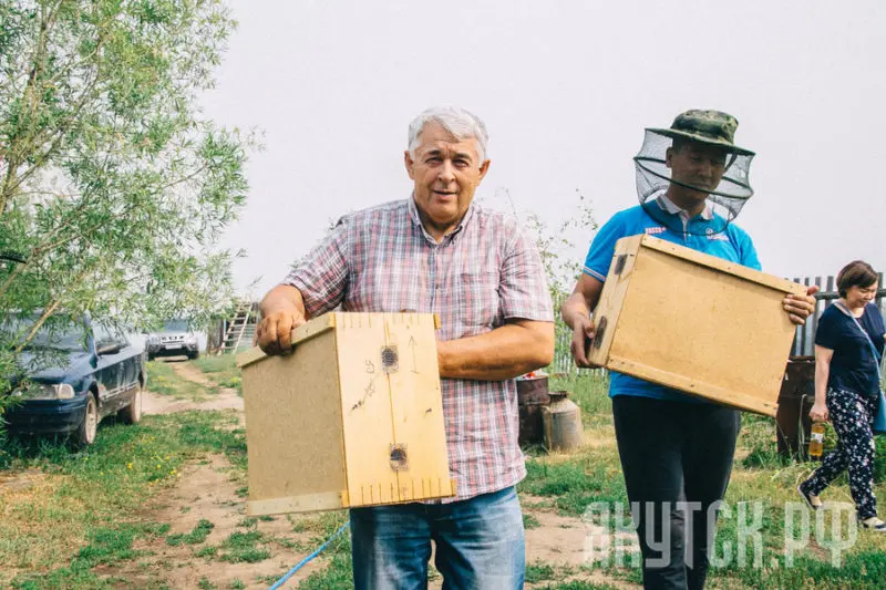 Местное производство в Якутске: северный мед