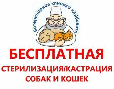 В Якутске идет бесплатная стерилизация собак и кошек