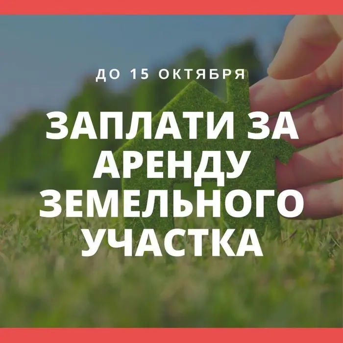 Не забудьте заплатить земельный налог