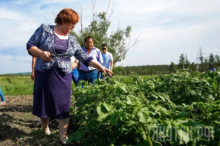 Агропояс города Якутска развивается