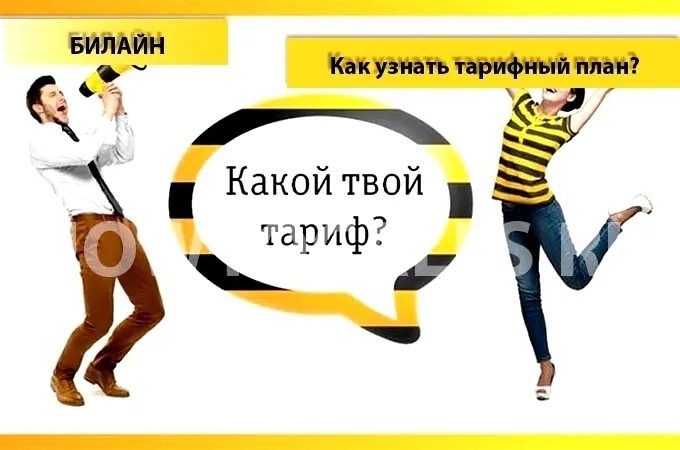 «Билайн» в Якутии обновил тарифы для интернет-активных абонентов