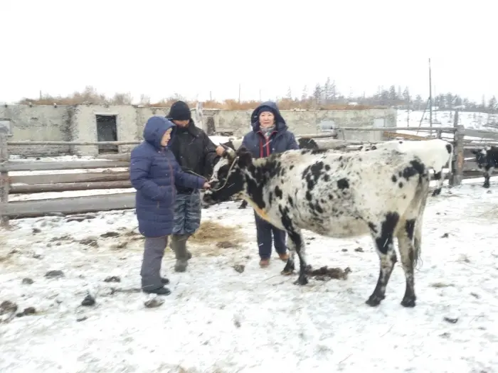 В Хангаласском улусе открылся новый животноводческий комплекс
