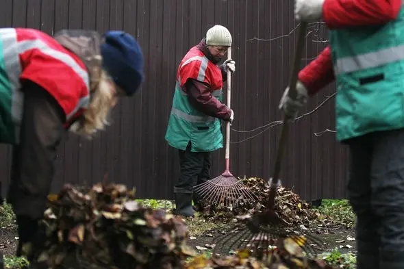 Кризис все перевернул с ног на голову: какие сферы пострадали больше всего в 2015 году?