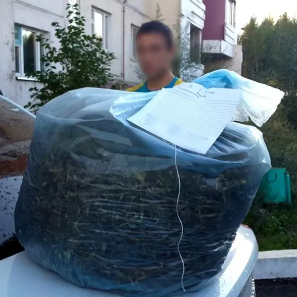 В Нерюнгри наркополицейские задержали мужчину с крупной партией марихуаны