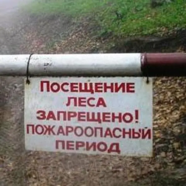 В лесах на территории трех районов Якутии сохраняется режим ЧС