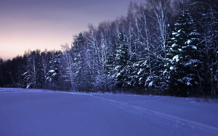 Однажды зимой