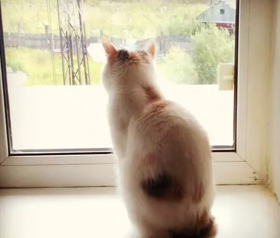Сфоткай вид из окна в Якутке — стань знаменит!