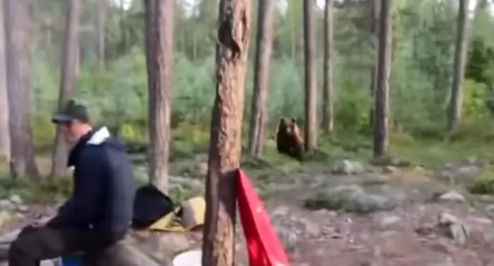 А нам все равно: "песня про зайцев" спасла жизнь туристов в Мурманской области (Видео)
