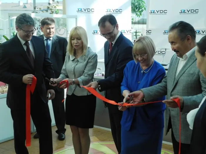 YDC хочет обанкротиться, но не может