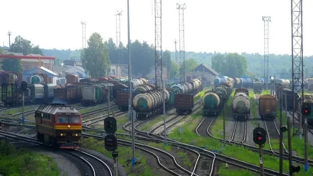 В Приморье с грузового поезда сняли девушку проехавшую пол страны в поисках отца