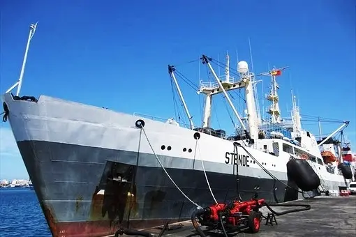 МЧС установило личности всех выживших с траулера "Дальний Восток"
