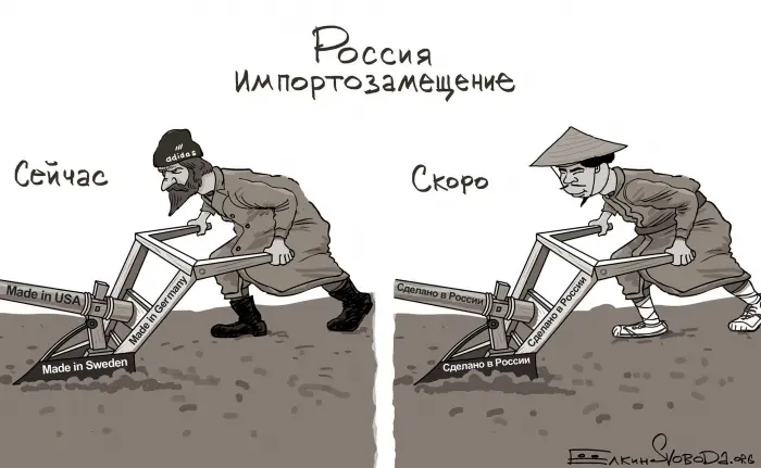 Импортозамещение головного мозга или как прожить без моцареллы