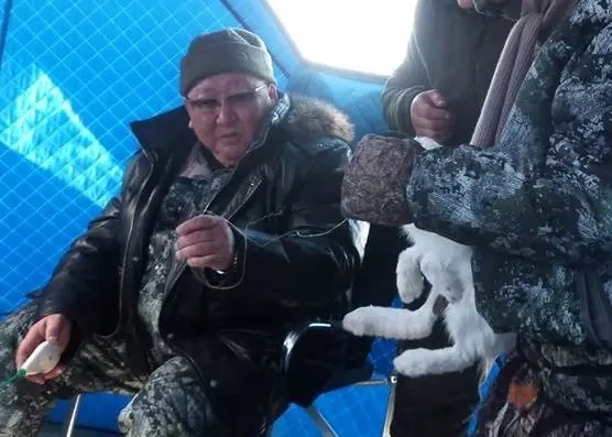 Аномалия в проруби - Глава Якутии выловил из Лены живого зайца