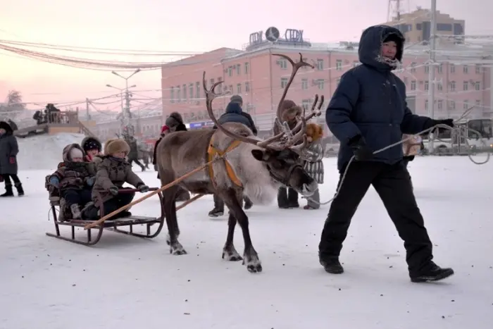 Новогоднее настроение продолжается! (фото)