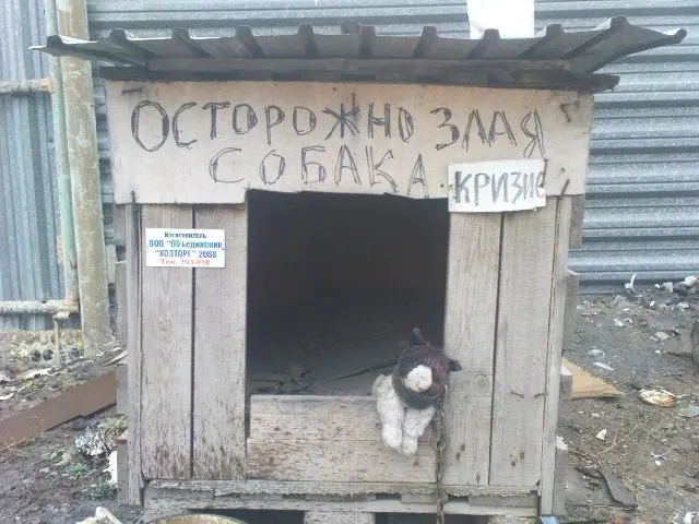 Глава Батагая оштрафован за недосмотр по бродячим собакам