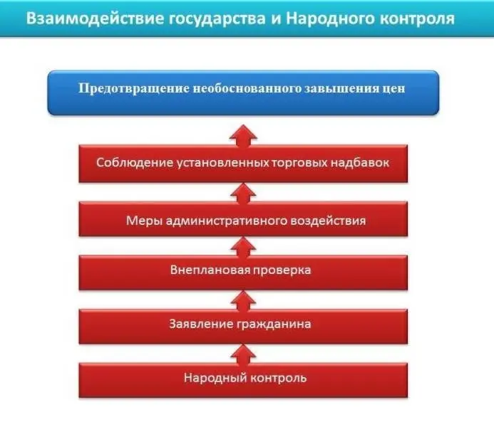 Предложен механизм проведения проверок народными контролёрами