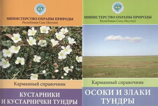 Вышли карманные справочники по растениям тундры