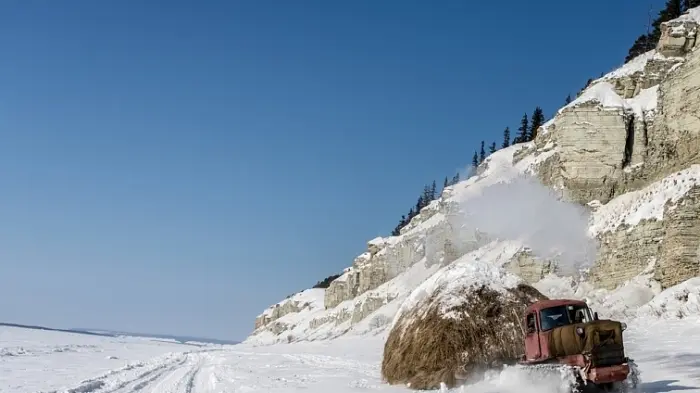 Бестях или не Бестях?