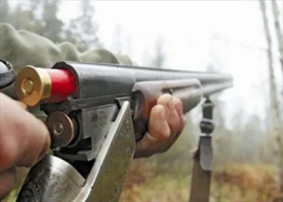 Изъятие оружия и добровольная сдача 