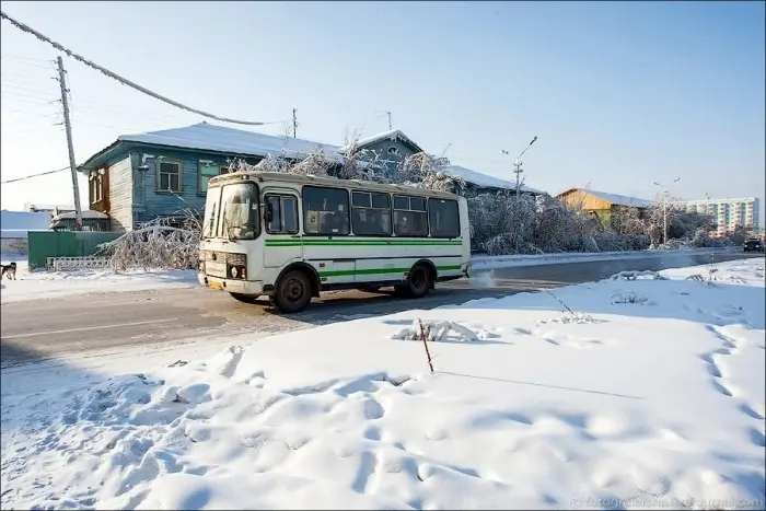 Пассажирка городского автобуса сломала копчик из-за резкого торможения