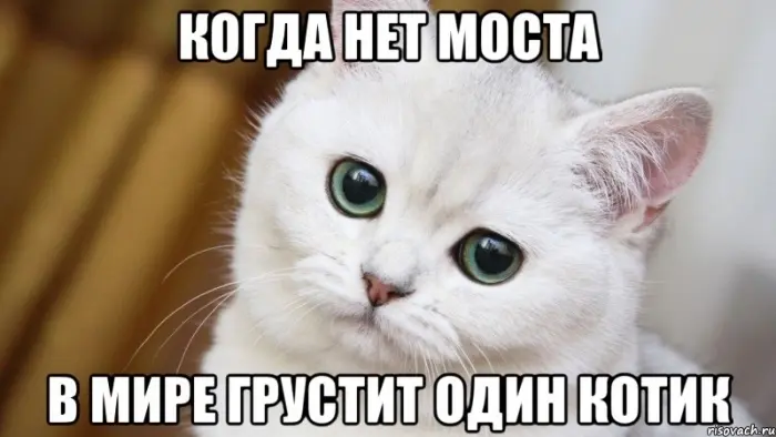 Правительство РФ может сократить финансирование строительства моста через Лену